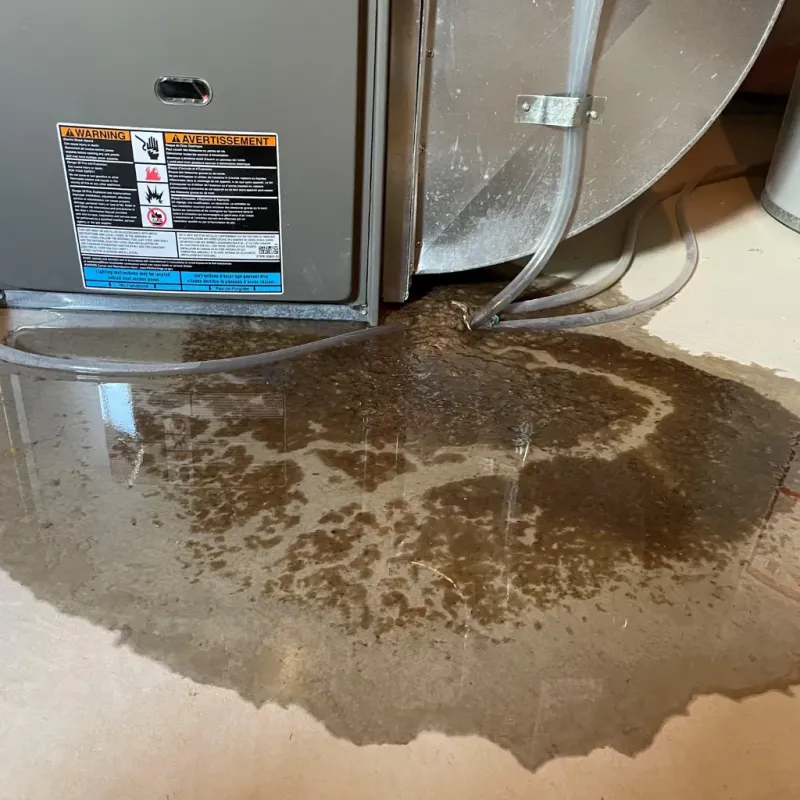 Appliance Leak Cleanup in Hillsborough, NC